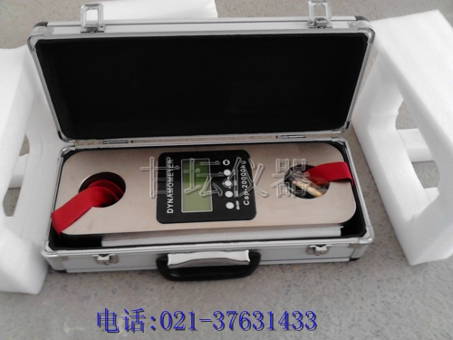 河北10噸拉力計(jì),廠家,價(jià)格,質(zhì)量(價(jià)格便宜)